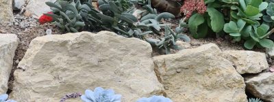 20210827_151312_resized